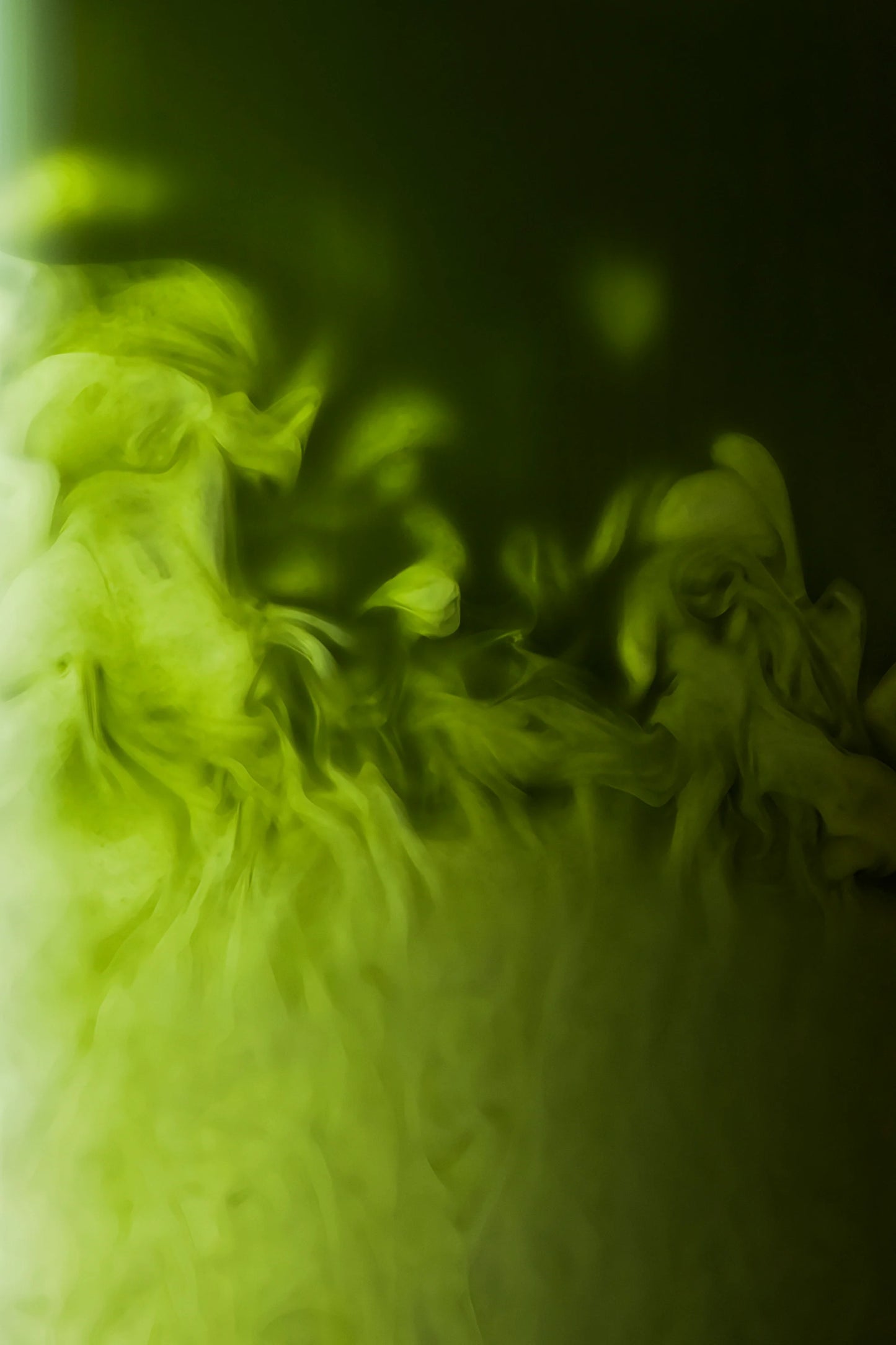 Matcha Cérémonie Vanille 100g